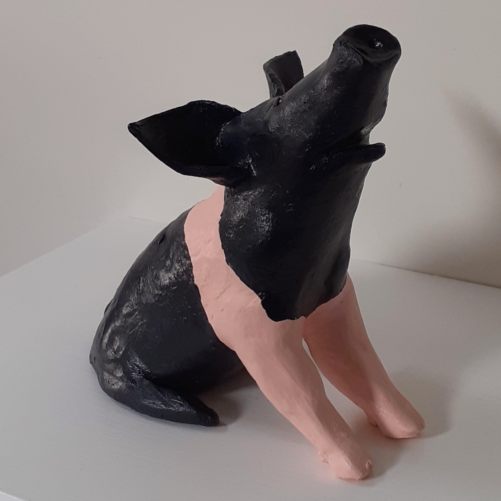 Pig